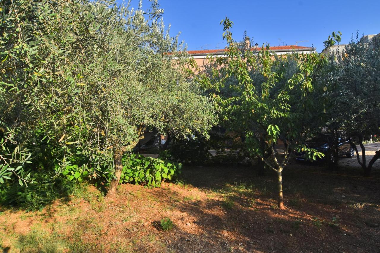Apartments Edita Zadar Exterior photo